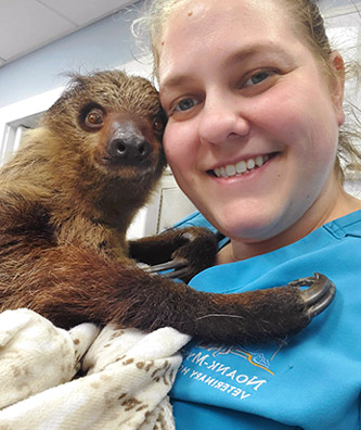 Pet Health Services in Noank, Mystic, and Norwich Connecticutt